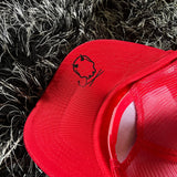 RAISING HELL CURVED BILL RED HAT